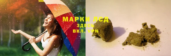 сатива Беломорск