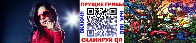 площадка официальный сайт Кропоткин Псилоцибиновые грибы Magic Shrooms